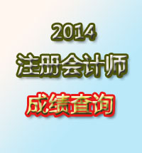 2014注冊會計(jì)師考試成績查詢