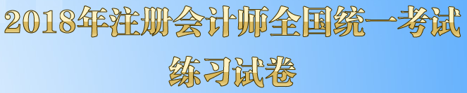 2018注冊會計師考試機考練習(xí)試卷.png